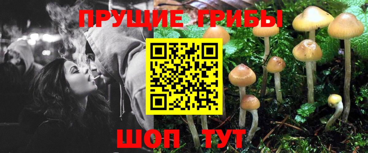 Псилоцибиновые грибы Magic Shrooms  Псилоцибиновые грибы мицелий  Воткинск  Вход с VPN 